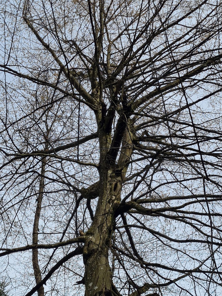 20210410_114310-scaled.jpg