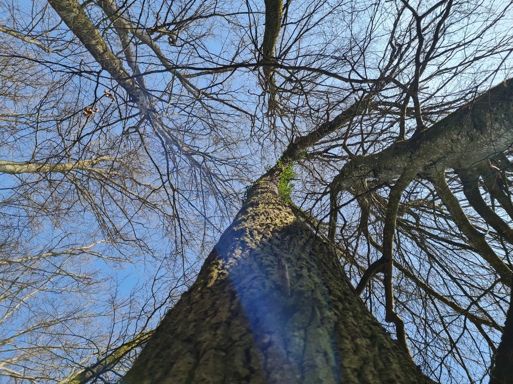 20210410_162109-scaled.jpg