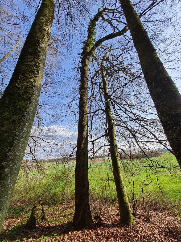 20210410_162246-scaled.jpg