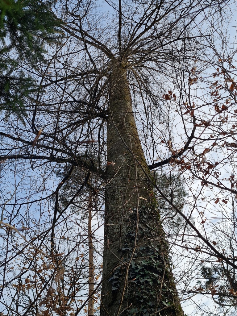 20210410_175337-scaled.jpg