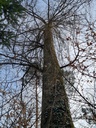 20210410_175337-scaled.jpg