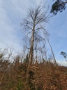20210410_175515-scaled.jpg