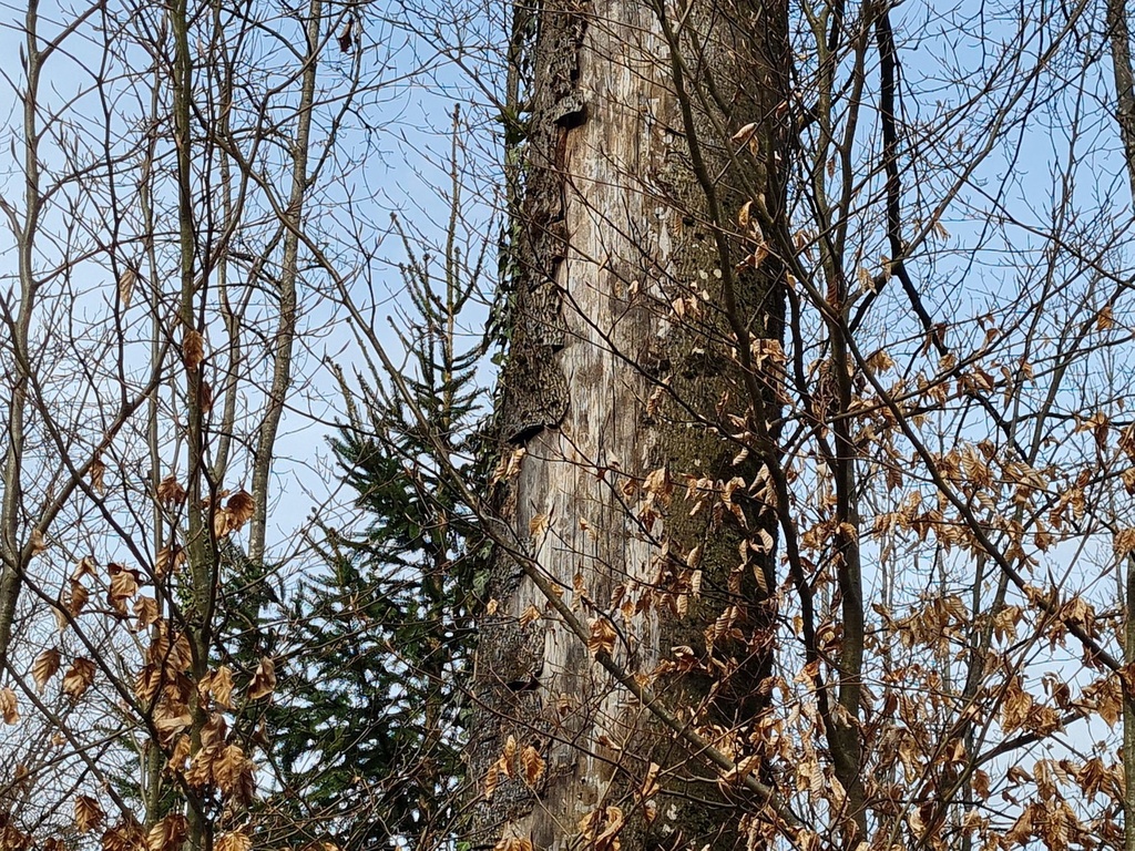 20210410_175542-scaled.jpg