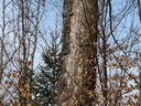 20210410_175542-scaled.jpg