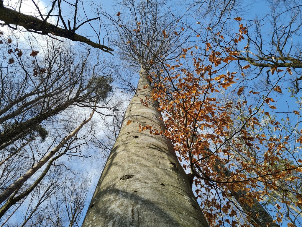 20210410_155316-scaled.jpg