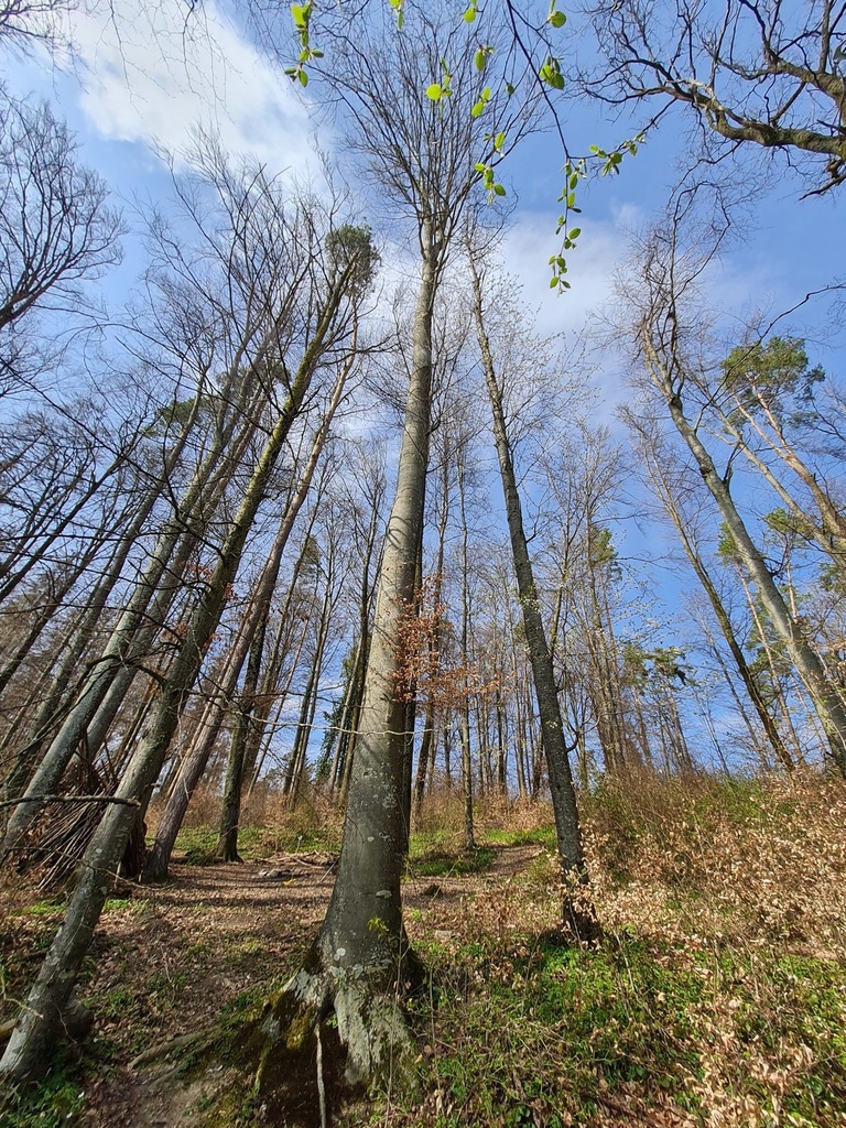 20210410_155359-scaled.jpg
