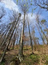 20210410_155359-scaled.jpg