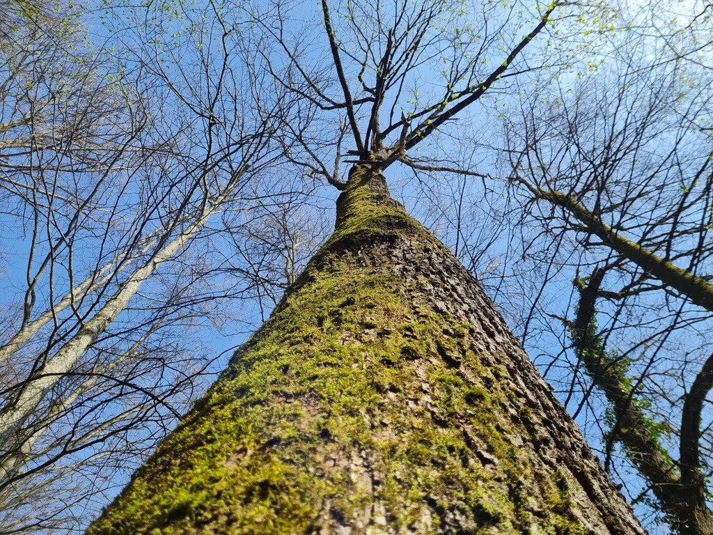 20210410_161355-scaled.jpg