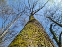 20210410_161355-scaled.jpg