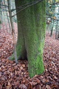 Miniwirbel-2-scaled.jpg