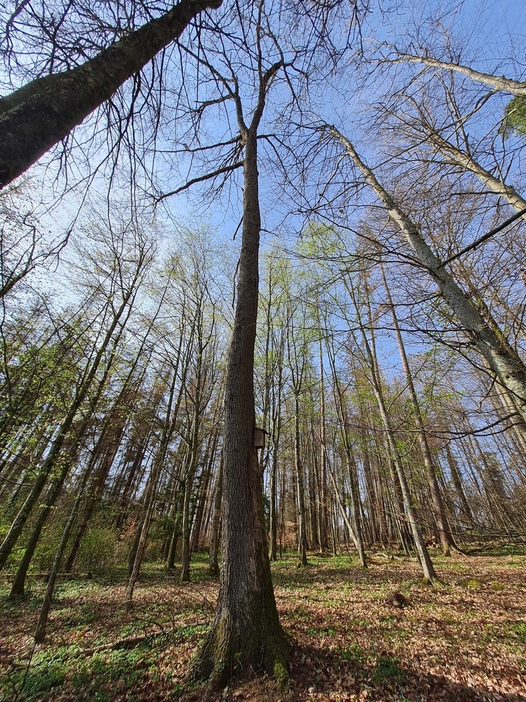 20210410_161435-scaled.jpg
