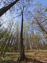 20210410_161435-scaled.jpg