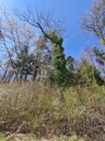 Gruener-Mantel-Webpage-4-scaled.jpg