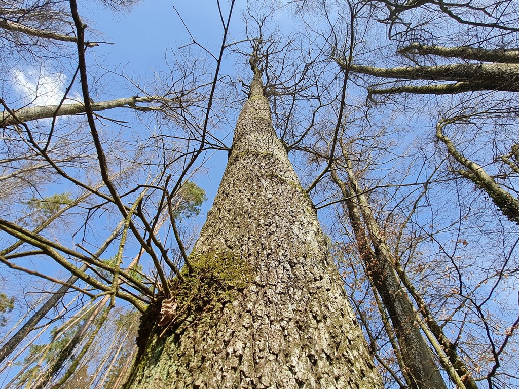 20210410_153431-scaled.jpg