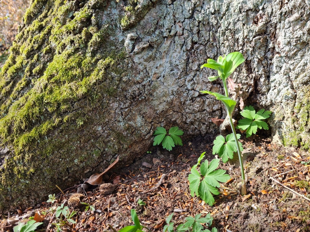 20210410_153543-scaled.jpg