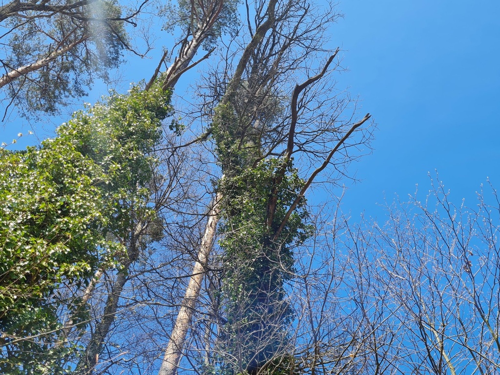 20210410_141457-scaled.jpg