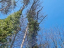 20210410_141457-scaled.jpg