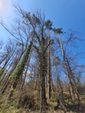 20210410_141648-scaled.jpg