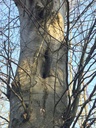 IMG-Drieselbuche-Website-4-scaled.jpg