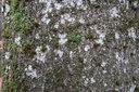 Kunzli-2-scaled.jpg
