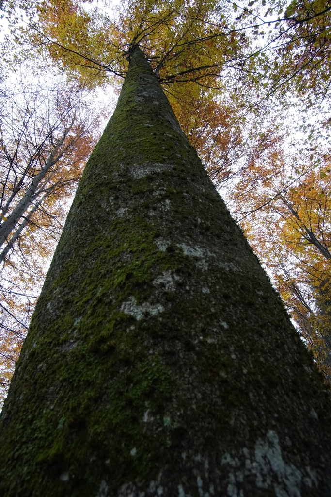 Kunzli-3-scaled.jpg