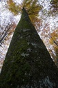 Kunzli-3-scaled.jpg