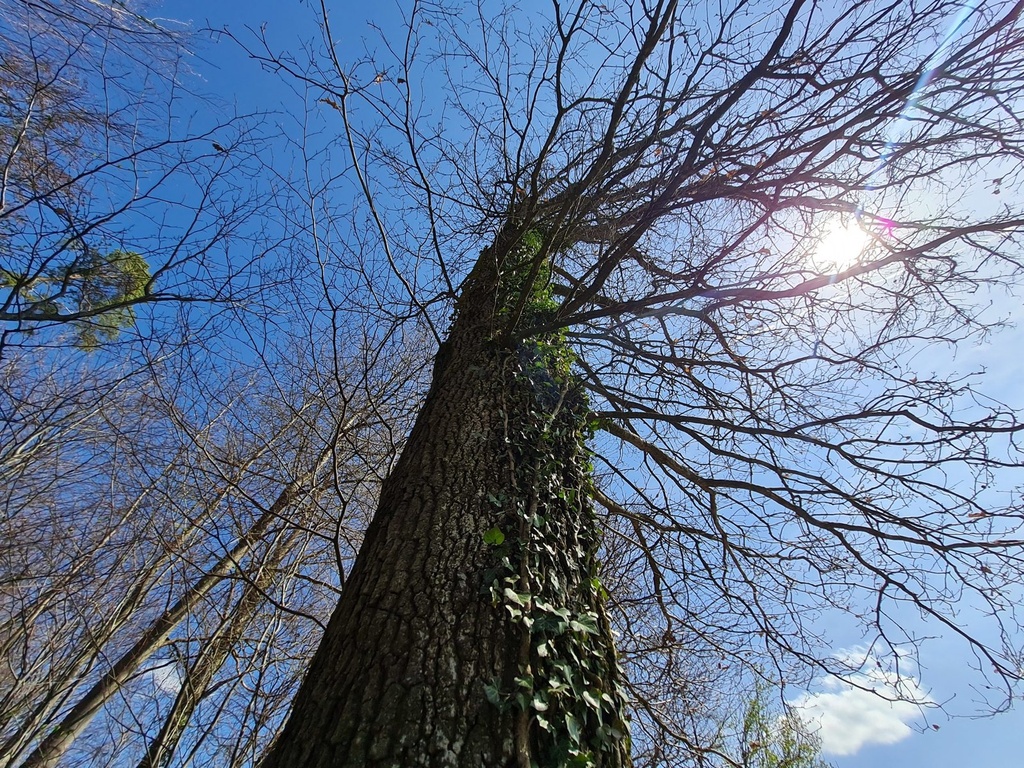 20210410_141025-scaled.jpg