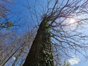 20210410_141025-scaled.jpg