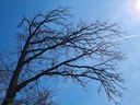 20210410_141136-scaled.jpg