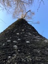 IMG_6063Strubelbirke-EG-scaled.jpg