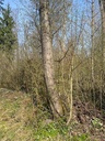 IMG_7421Wegbegleiter-EG-rotated.jpg