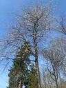 IMG_7422Wegbegleiter-EG-rotated.jpg