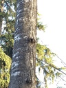 IMG_6069Strubelbirke-EG-scaled.jpg