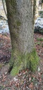 Webpage-Vollkron-Tanne-861021.019-2-scaled.jpg