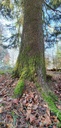 Webpage-Vollkron-Tanne-861021.019-4-scaled.jpg
