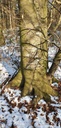 Blaeuling-Webpage-861021.016-2-scaled.jpg