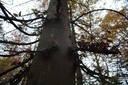 Due-3-scaled.jpg