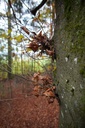 Tre-2-scaled.jpg