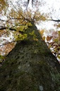 Tre-3-scaled.jpg