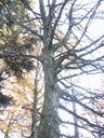 Habu-Jungholz-150-9-11-20-3-scaled.jpg