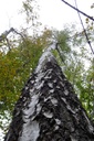 DSC02424Website-scaled.jpg