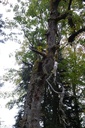 DSC02379-Website-scaled.jpg