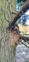 Aabach-Tanne-Webpage-861021.023-2-scaled.jpg