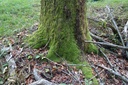 DSC02385-Website-scaled.jpg