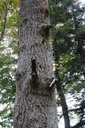 DSC02389-Website-scaled.jpg