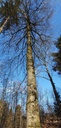 Webpage-Einzimmer-Specht-Buche-861021.020-2-scaled.jpg