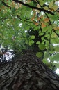 DSC02440Website-scaled.jpg
