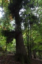 DSC02441Website-scaled.jpg
