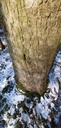 Popey-Tanne-Webpage-861021.018-3-scaled.jpg