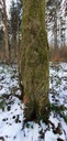 Elefantenohr-Webpage-861021.01-3-scaled.jpg